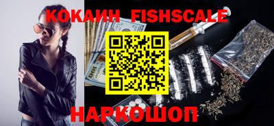 гашик Славгород