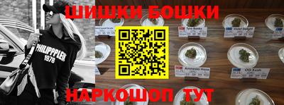 гашик Славгород