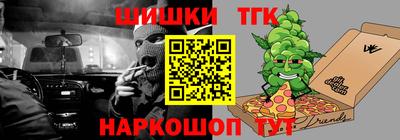 гашик Славгород