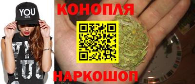 дживик Сланцы