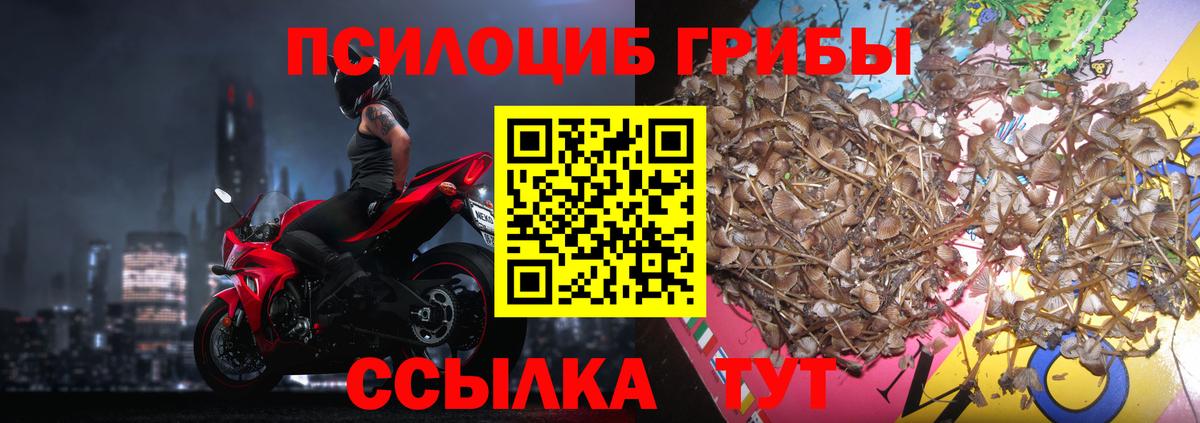 наркошоп  Псилоцибиновые грибы прущие грибы  Вход с VPN  Псков 